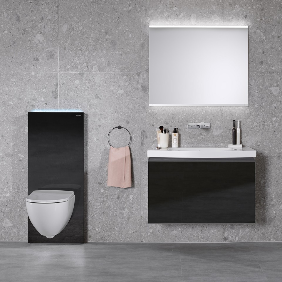 Monolith Plus with Acanto WC and washbasin