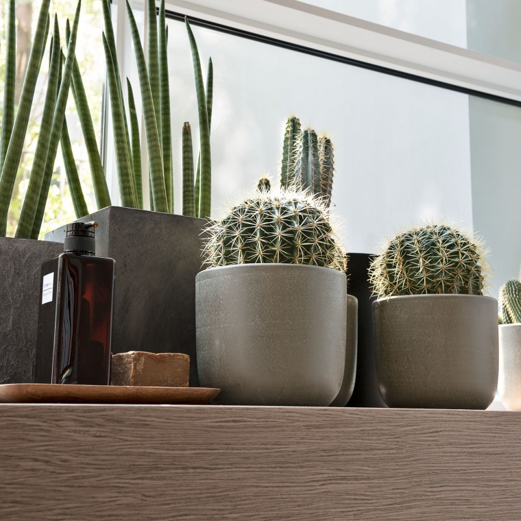 Různé rostliny na okenním parapetu Různé rostliny na okenním parapetu