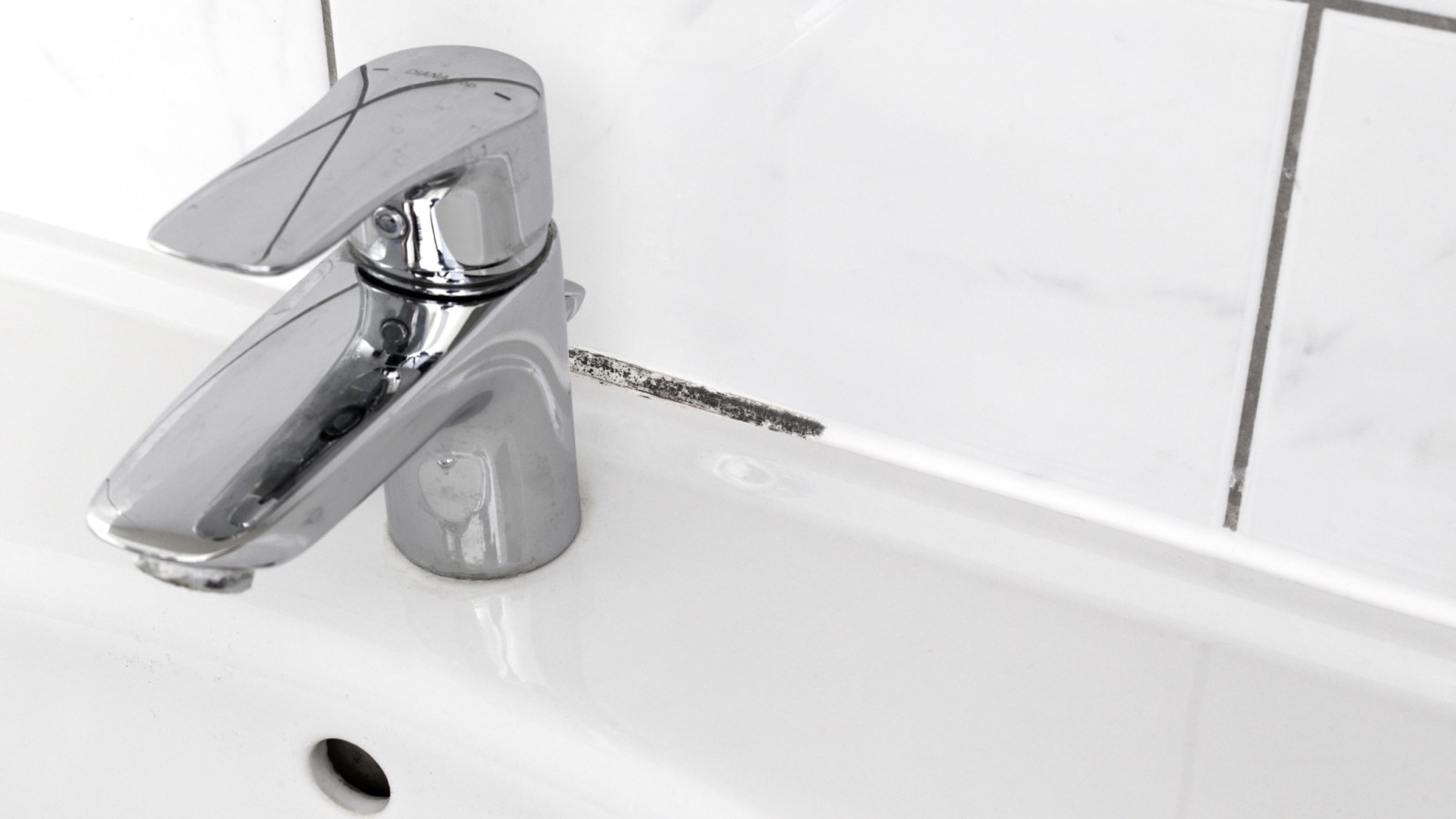 Plísně v koupelnových spárách Plísně v koupelnových spárách