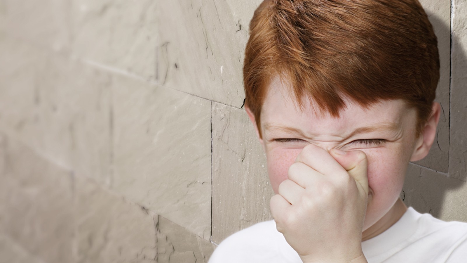 Nejrůznější pomocníci pro boj se zápachem Nejrůznější pomocníci pro boj se zápachem